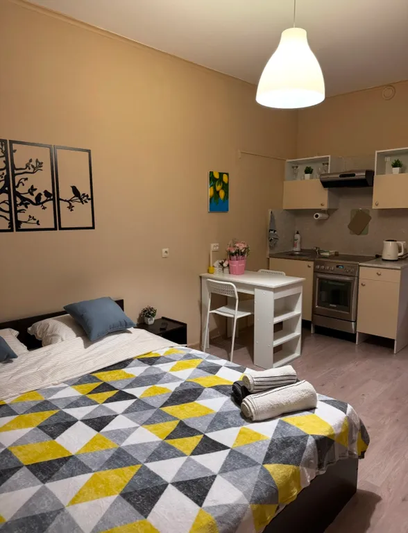 Уютная студия рядом с метро