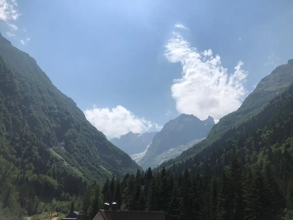 Кавказский двор