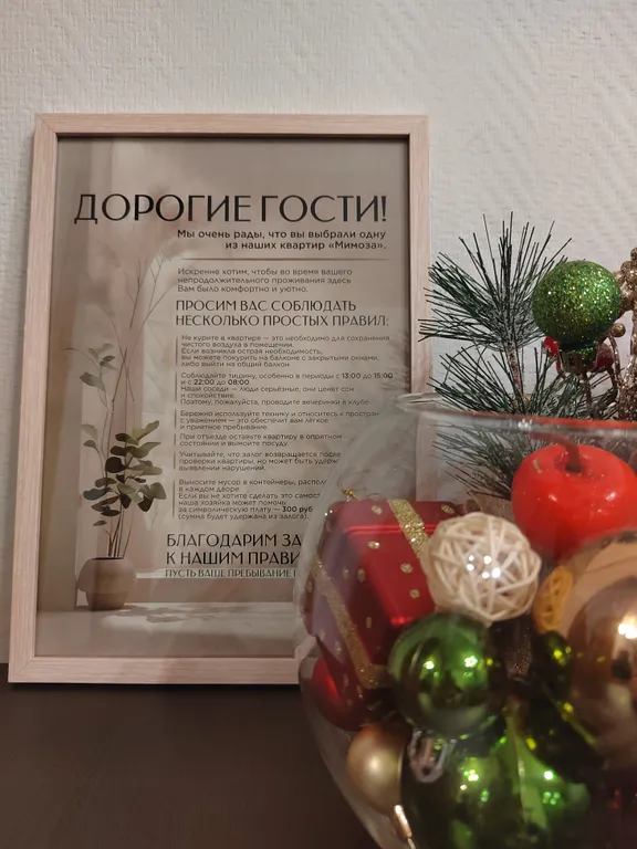 Видовая квартира у Нового рынка