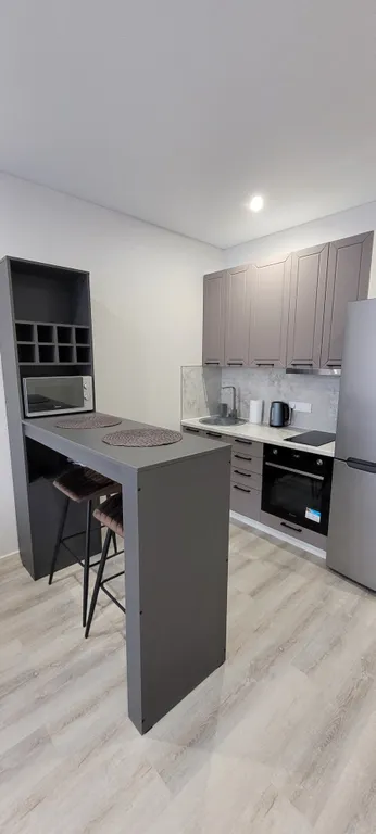 Квартира Уютная студия в 5 минутах от Горного Воздуха — аренда посуточно в Южно-Сахалинск