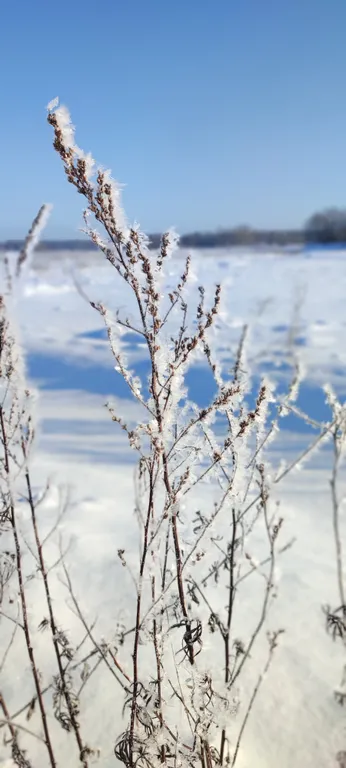 Коттедж Тёплый коттедж с баней на очень большой уединённой территории — Кротово