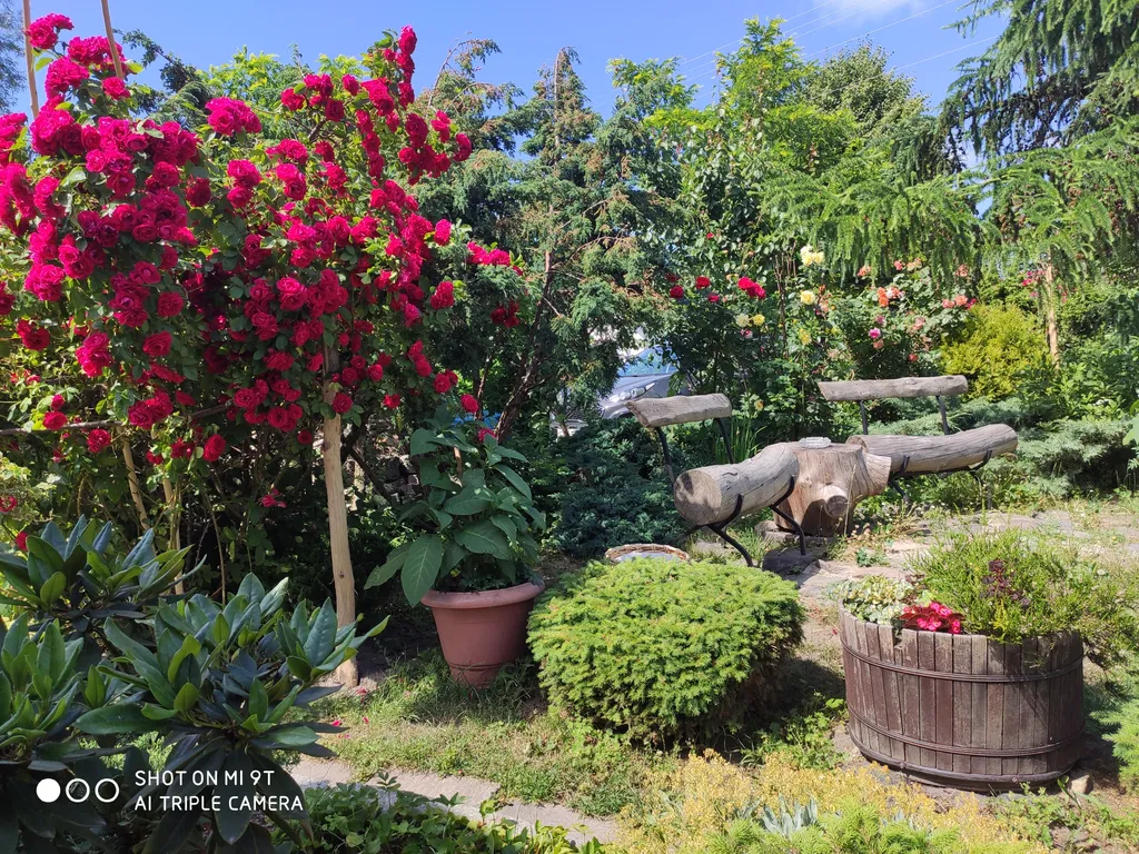 Студия в тихом уголке