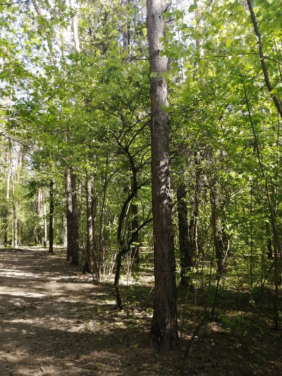 Студия с удобным выездом на трассу М-2