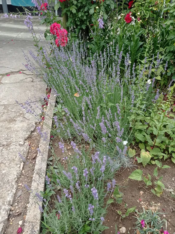 Отдых на море, как на даче