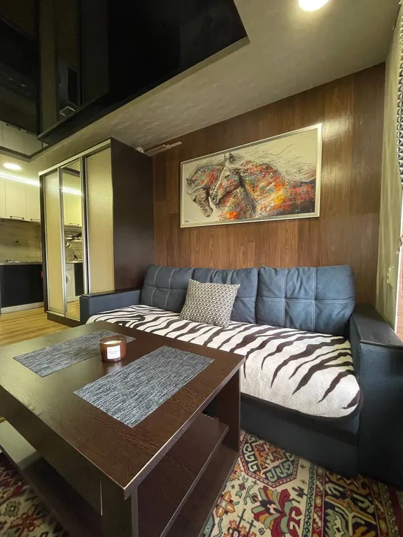 Уютная студия с очень удобным расположением