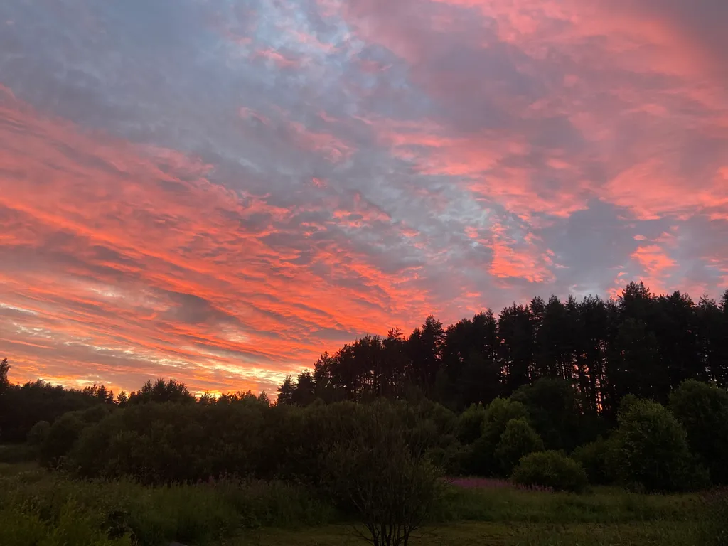 Садовый дом Саныча