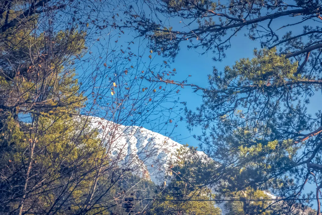 Квартира Комната — Архыз