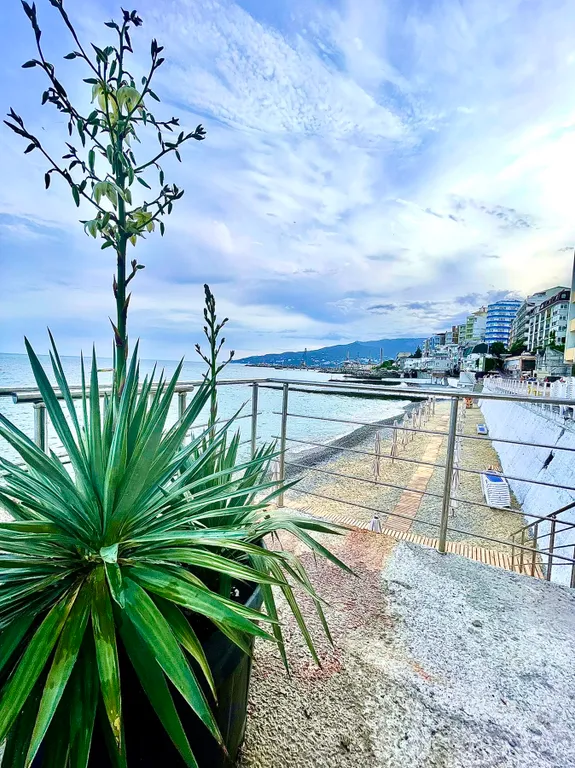 Апартаменты с видом на море