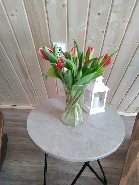 Коттедж Дом у леса для душевного отдыха — Александров