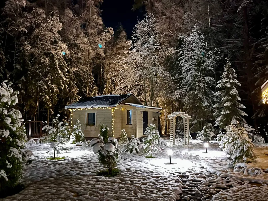 Коттедж Уютный домик на озере Волго на Селигере в сосновом бору — Турбаза Чайка