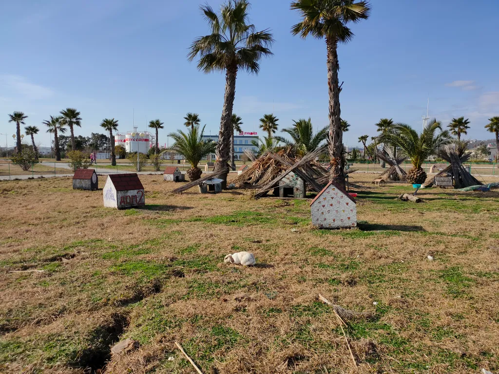 Апартаменты Фиолет