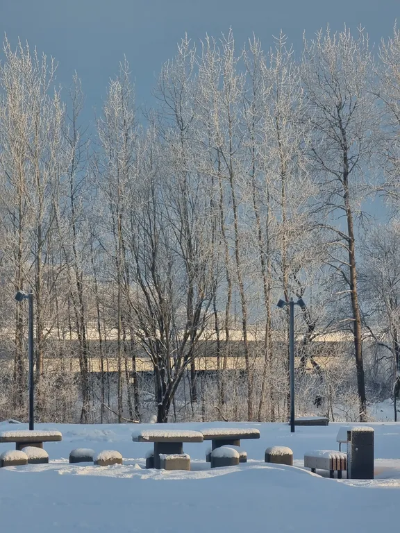 Квартира Квартира Апартамент Чистые пруды/закрытая территория/пруды/скейт-парк — Великий Новгород