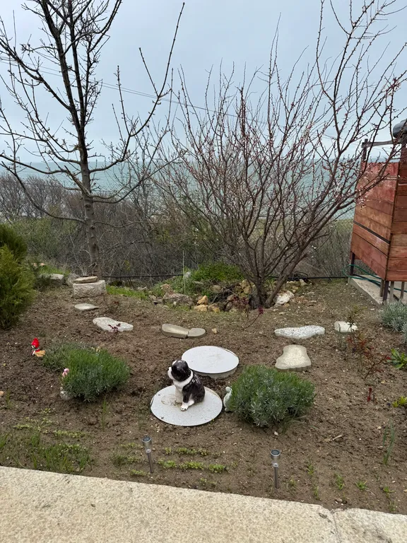 Коттедж Уютный домик на берегу моря — Осовины