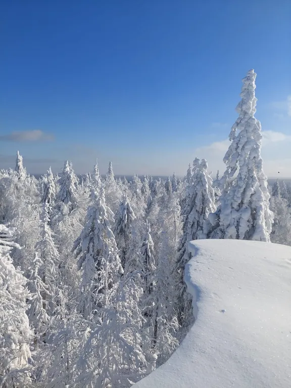 Уютный дом рядом со Столбами и Каменным городом