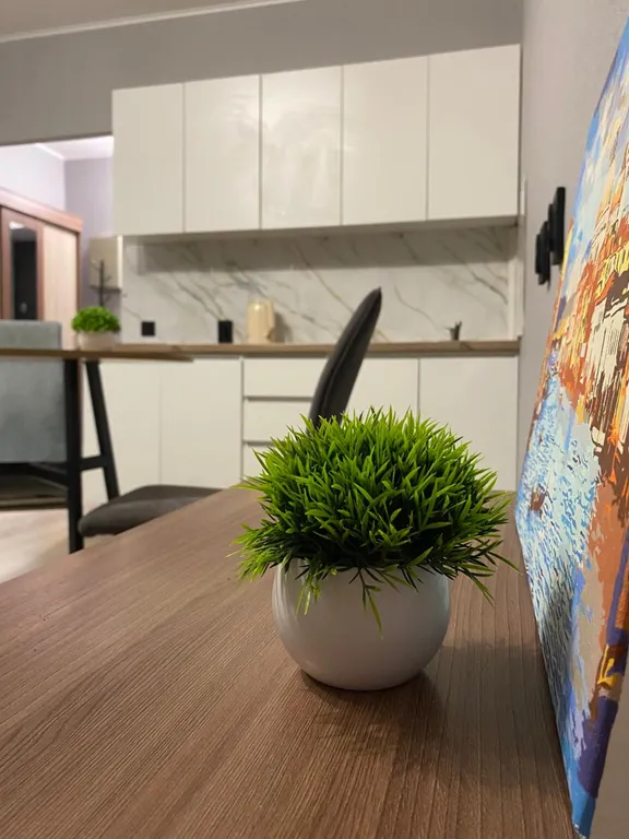 Уютная студия около Нового Зоопарка!