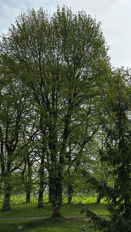 2-я квартира "Кёнигсберг" у Королевских ворот | 5 гостей, парковка