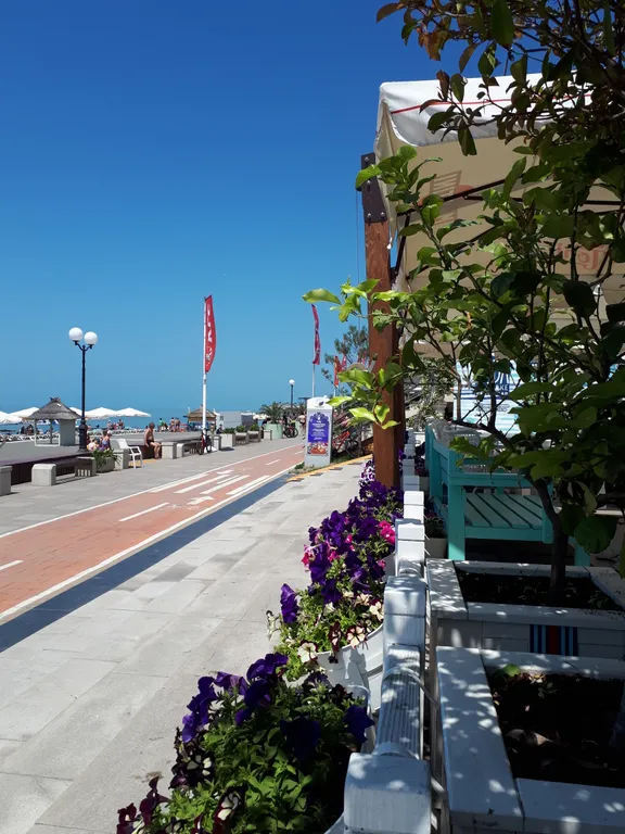 Квартира Квартира Студия с отдельными кроватями — Сириус