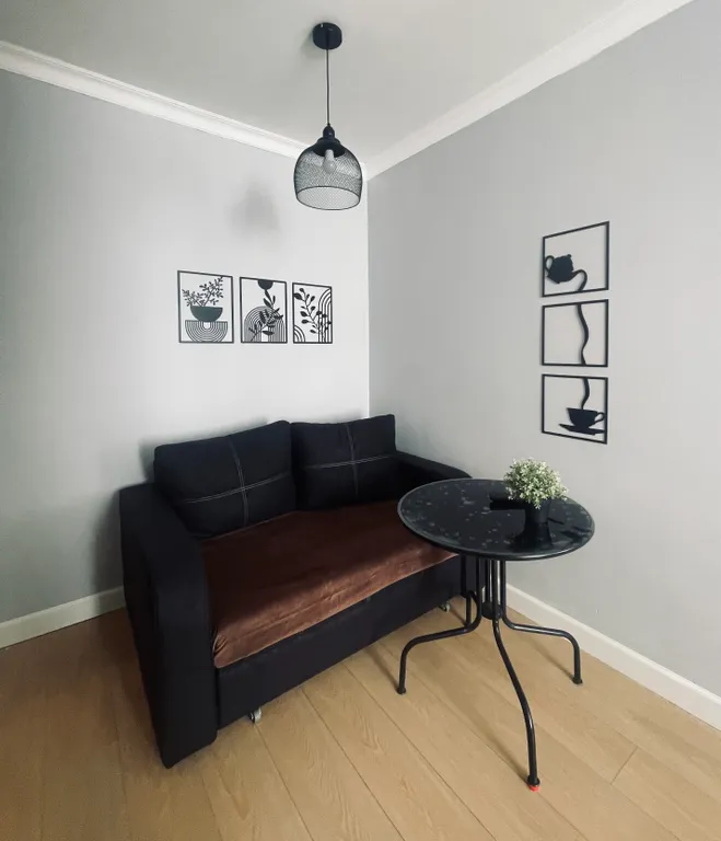 Уютная большая однокомнатная квартира евро двушка