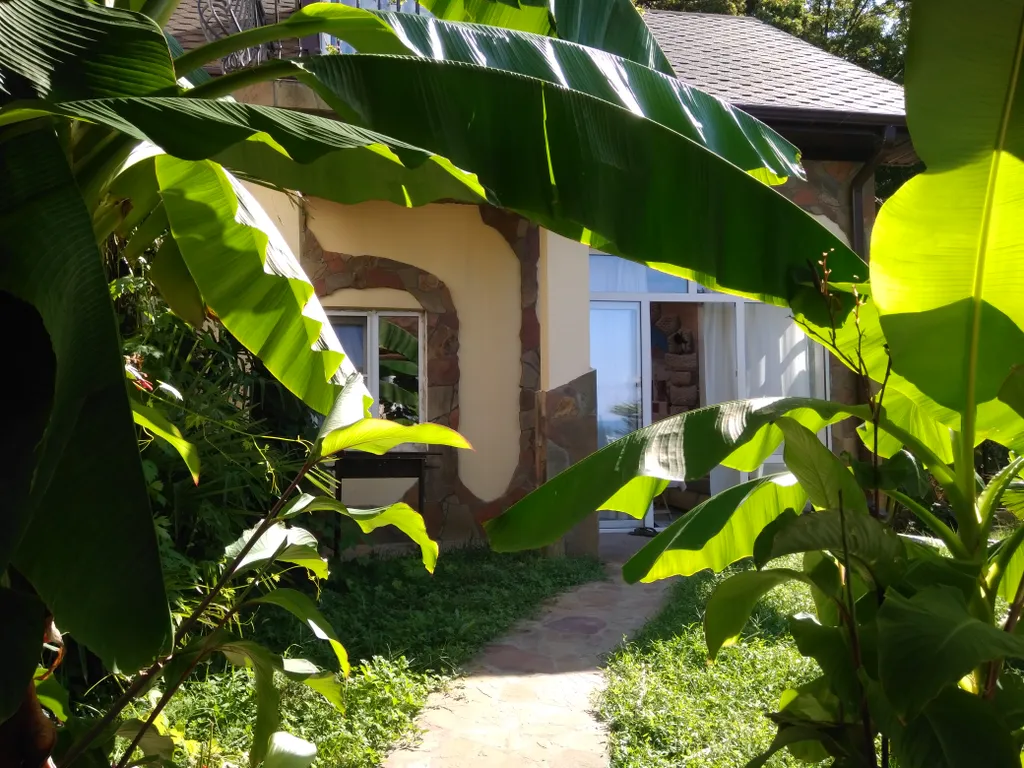 Вилла Море у леса