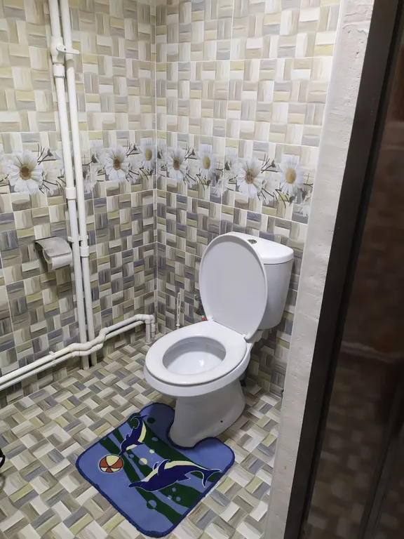 Чистая и аккуратная семейная дача