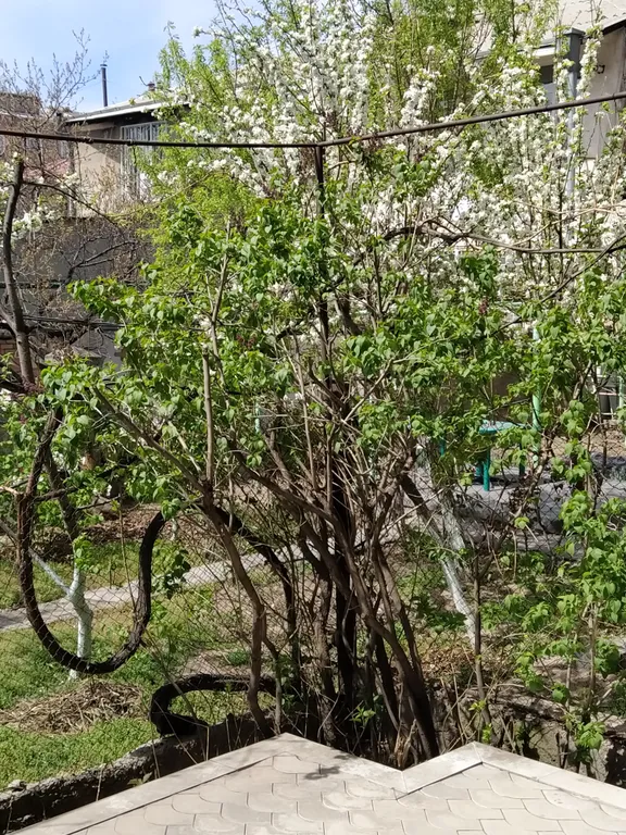 Уютная и тихая квартира в большом центре