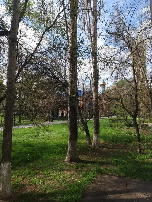 Забронируйте квартиру на неделю — выходные бесплатно!