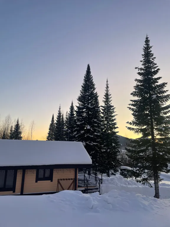 Новый дом из кедра