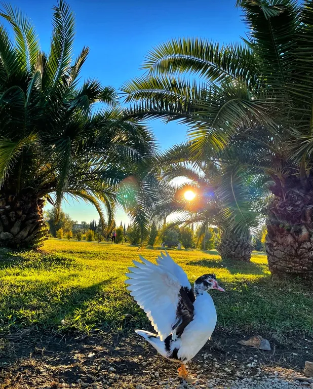 Студия в олимпийском парке