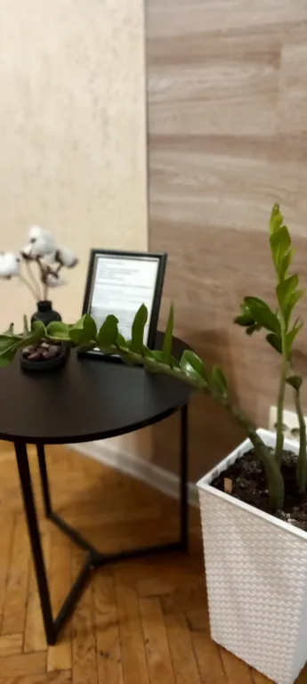 Уютная квартира в старом поселке