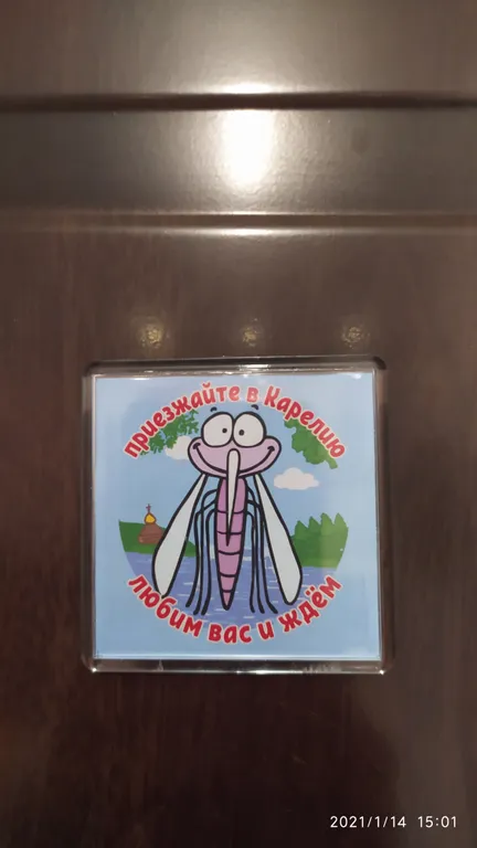 Уютная студия в центре