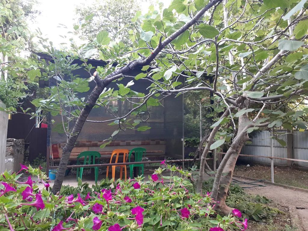 Дом с участком в центре города