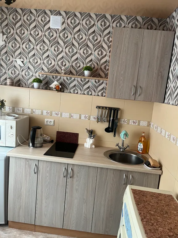 Уютная однокомнатная квартира в центре города