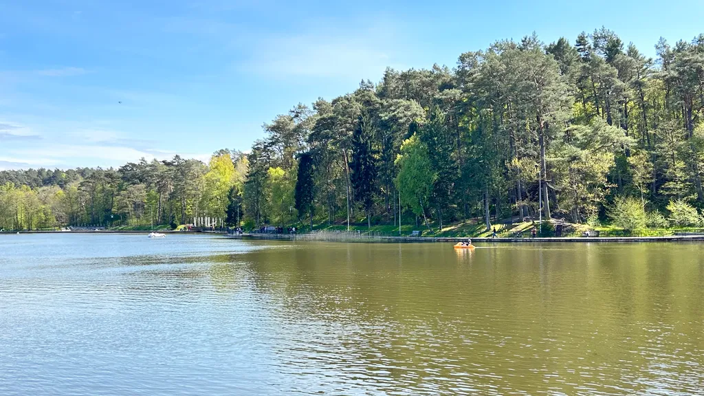 Квартира Уютная квартира-студия — Светлогорск