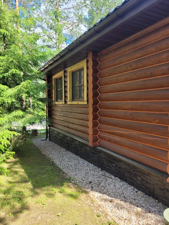 Дом в сосновом лесу