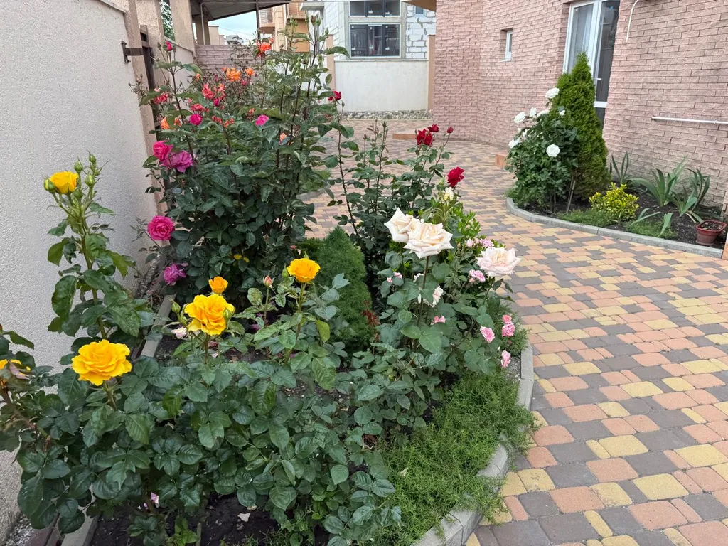 Трёхместный Стандарт