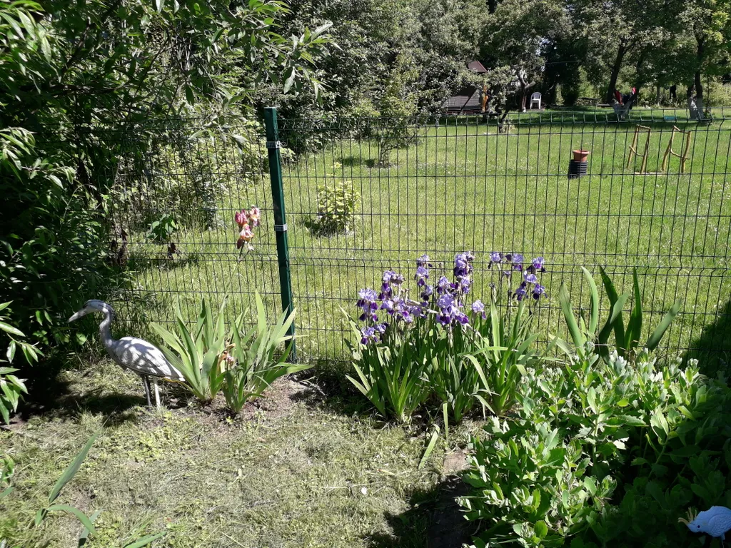 Коттедж Дом на Куршской косе — Рыбачий