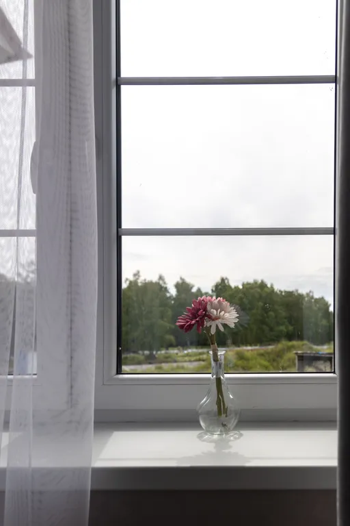 Квартира Квартира Комфортабельное гнёздышко в сердце леса — Светлогорск