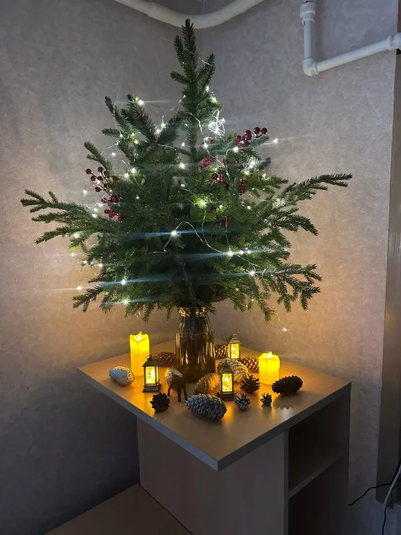 Уютная квартира в центре города