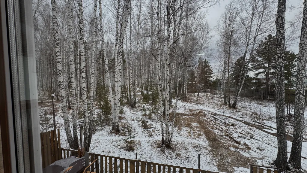 Дом Тихий Бор в березовом лесу