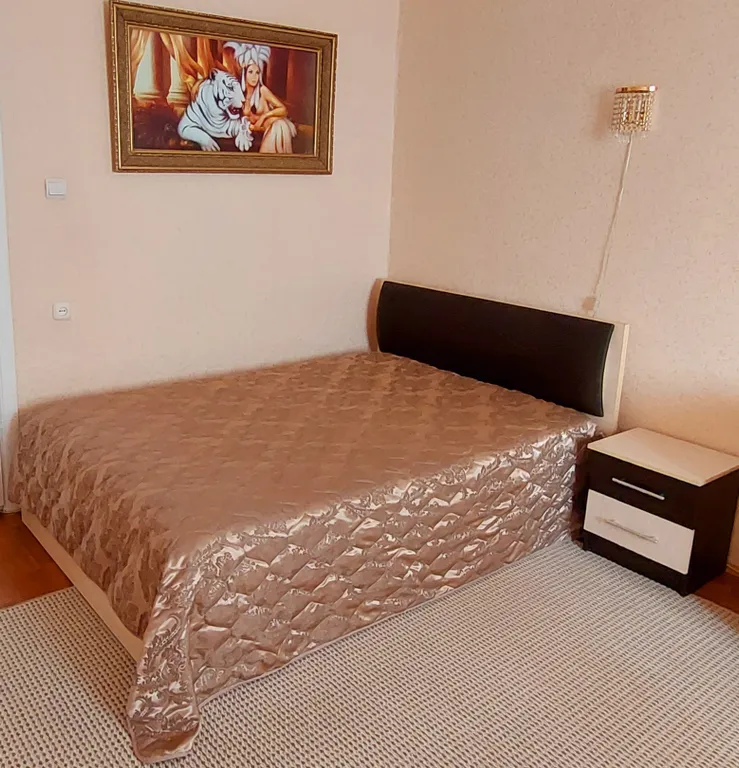 Квартира рядом с клиникой миротворцева, ж/д-автовокзал, сгту, сгму