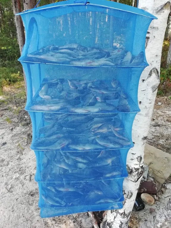 Домик для отдыха в Карелии