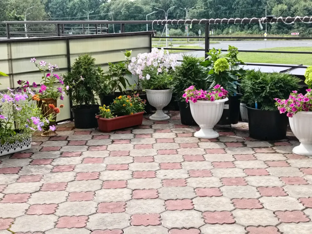 Квартира с террасой в Петергофе