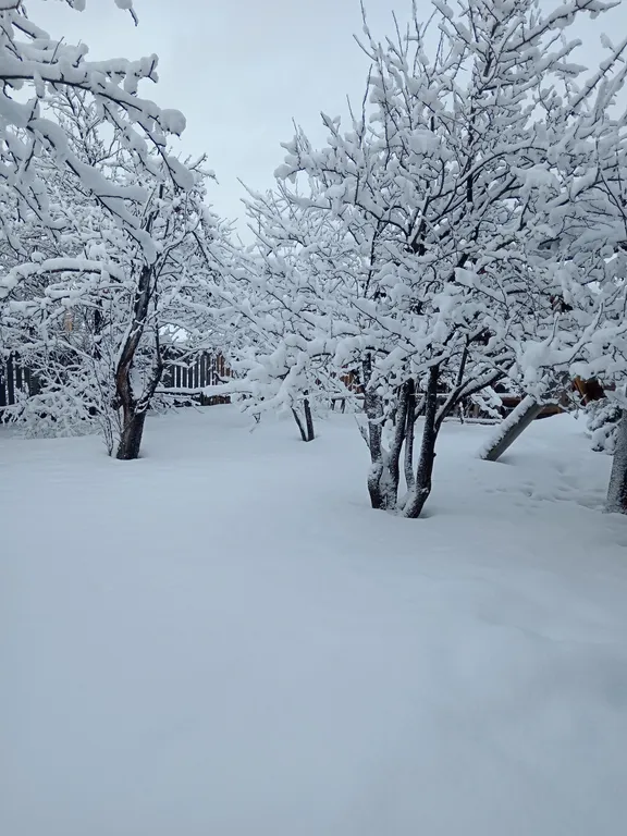 Дом с сауной недалеко от озера