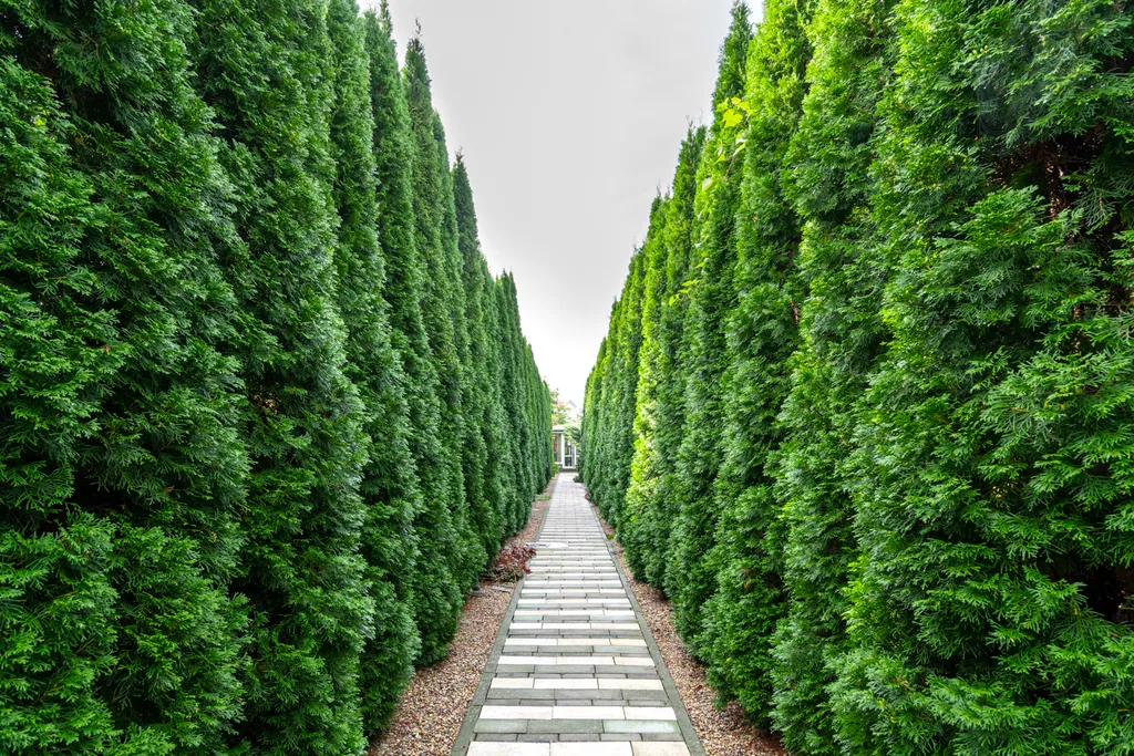 4-комнатный Дом