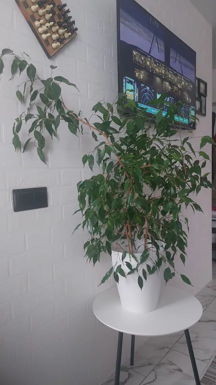 Апартаменты "Кремлевская жемчужина"