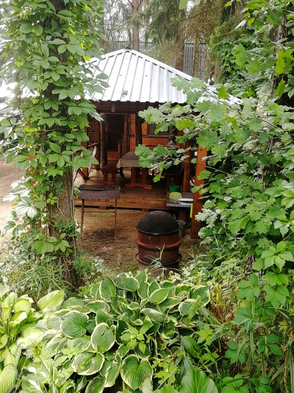 Коттедж Лана в хвойном бору на Селигере