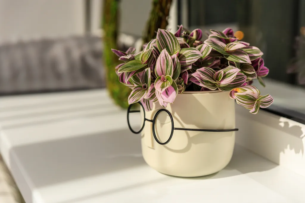 Уютная однокомнатная квартира рядом с парком