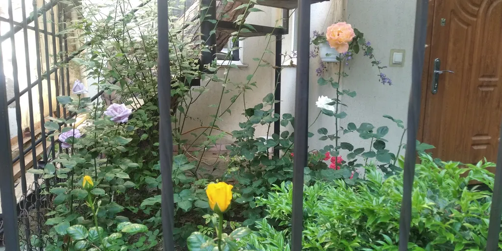 Семейный двухкомнатный номер-полулюкс