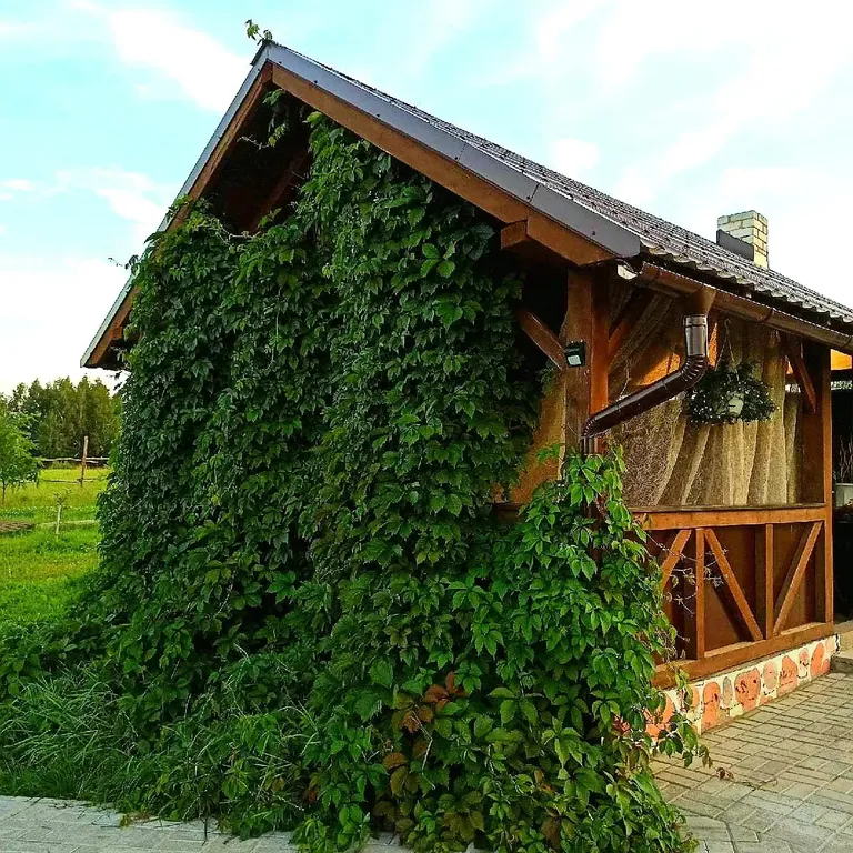 Милый домик в деревне, с видом на озеро