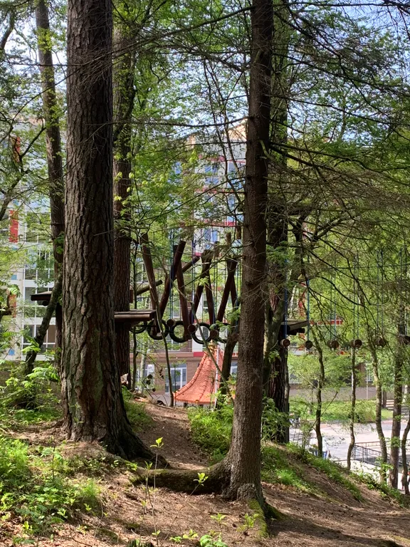 Апартаменты у озера тихое, с видом на лес